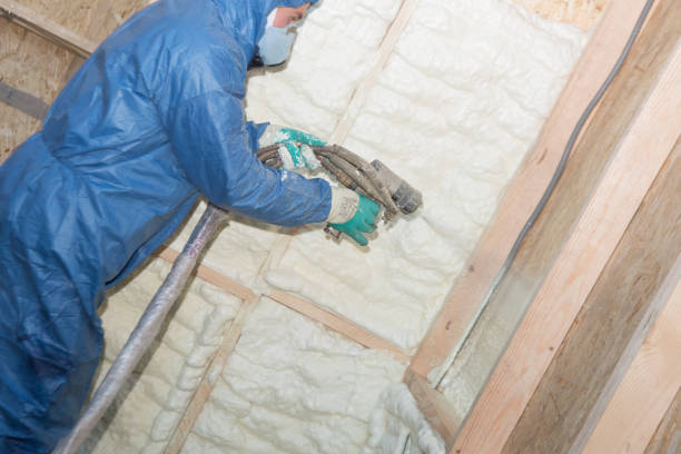 Best Blown-In Insulation  in Lake Worth, TX